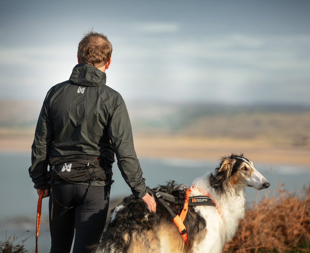 Trail light belt product image