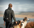 Trail light belt product image
