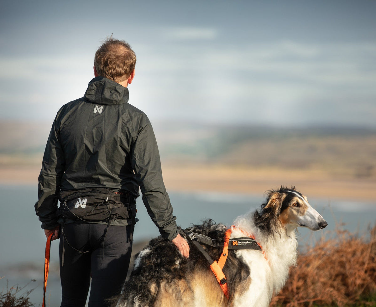 Trail light belt product image