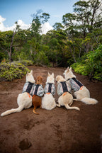Trail light dog backpack product image