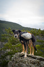 Trail light dog backpack product image