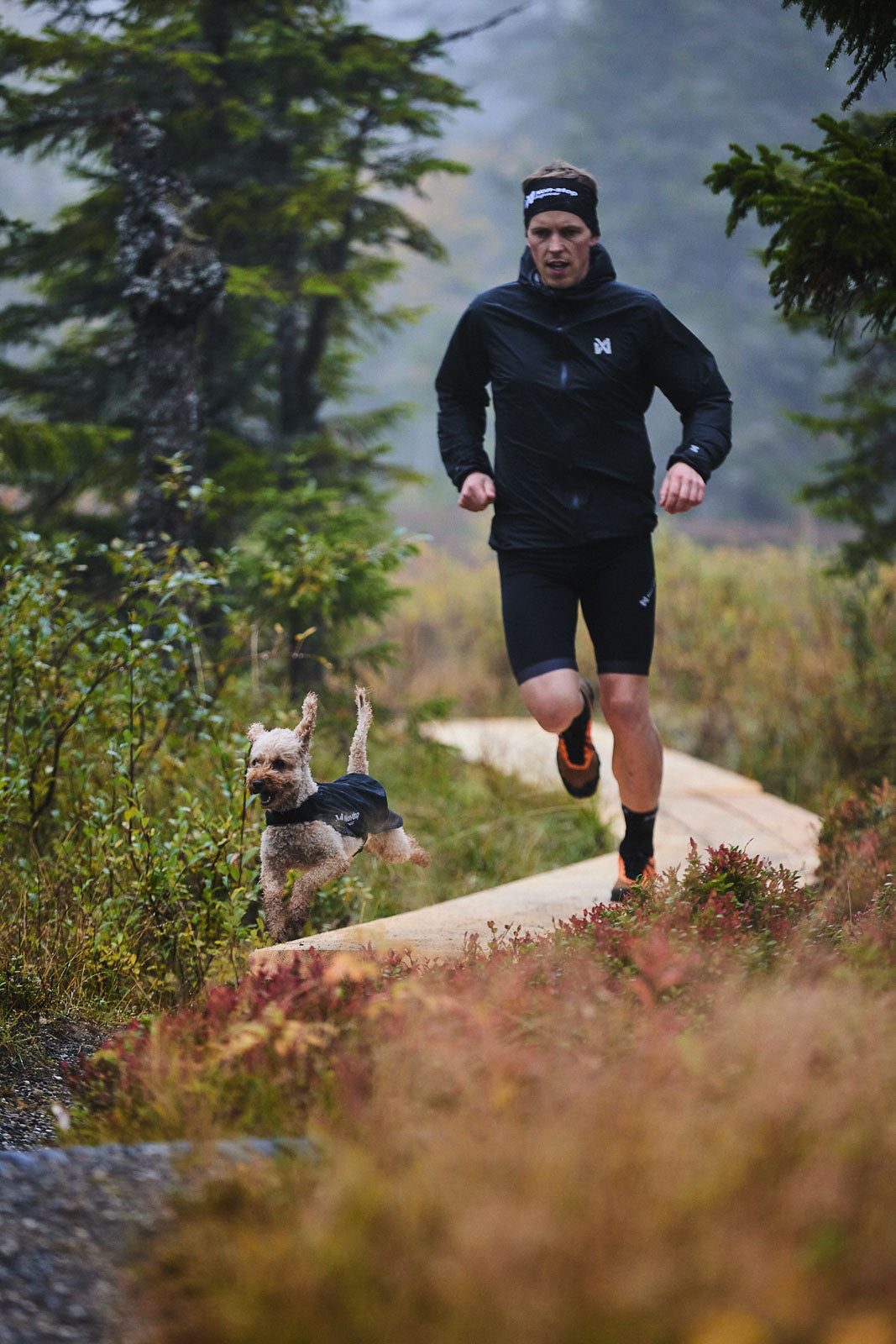 Trail light dog jacket product image
