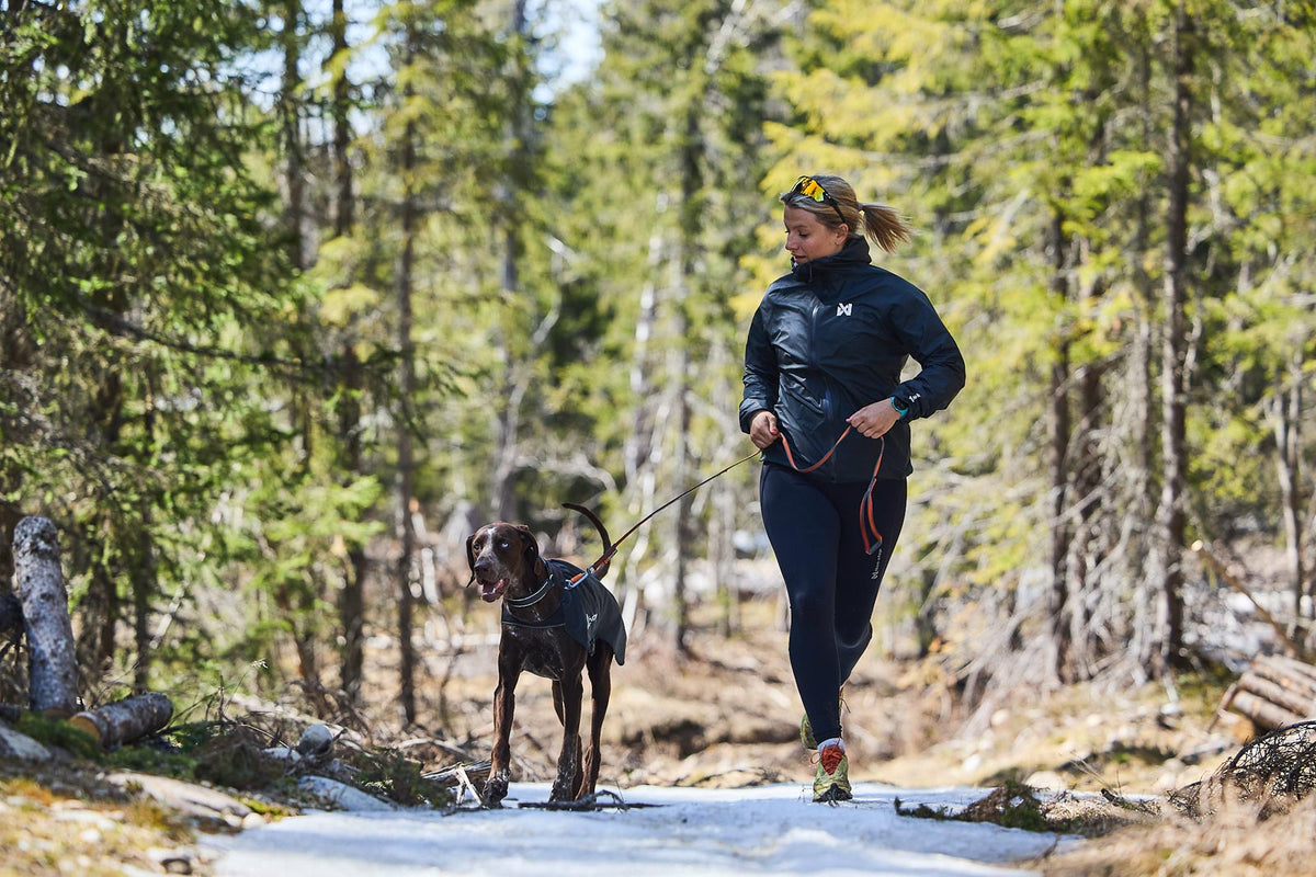 Trail light dog jacket product image