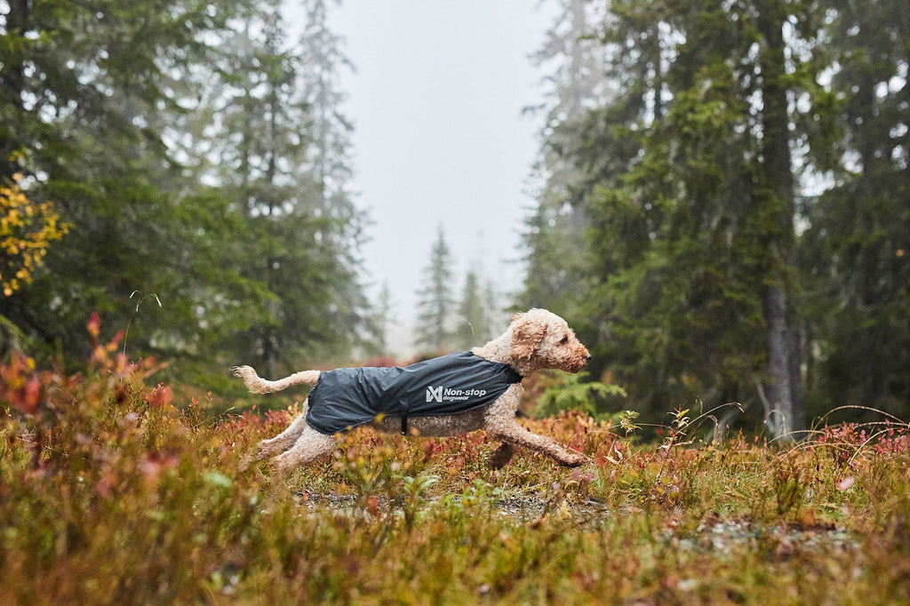 Trail light dog jacket product image