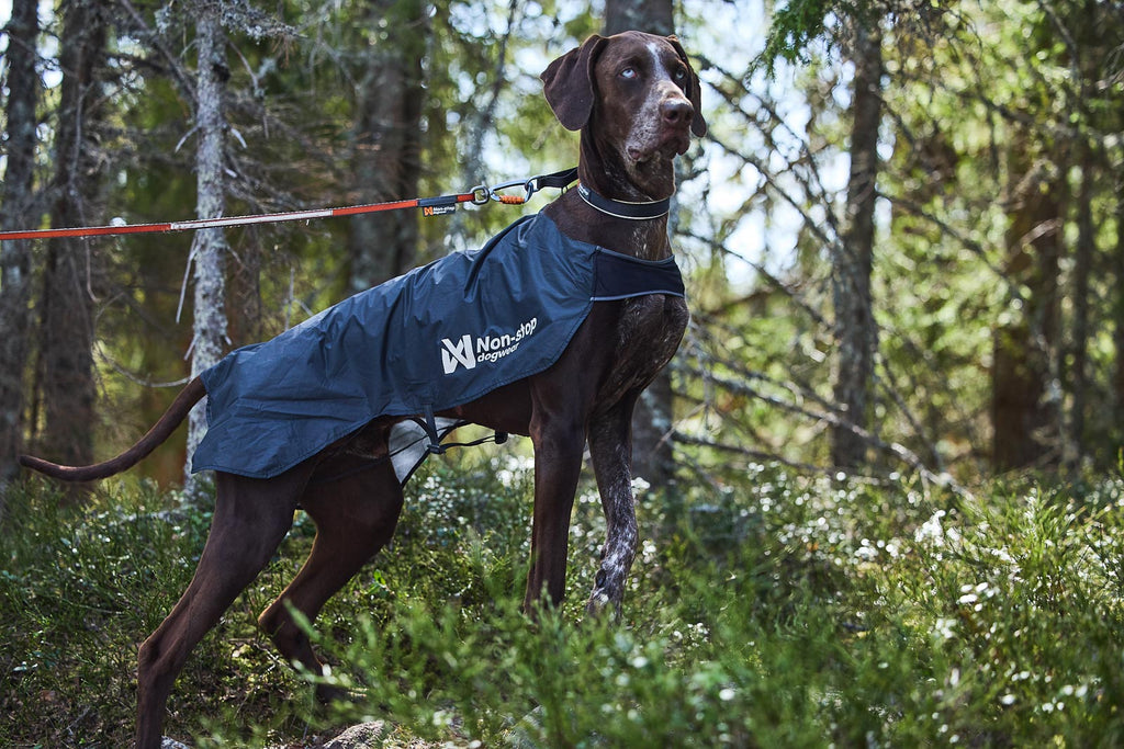 Trail light dog jacket product image