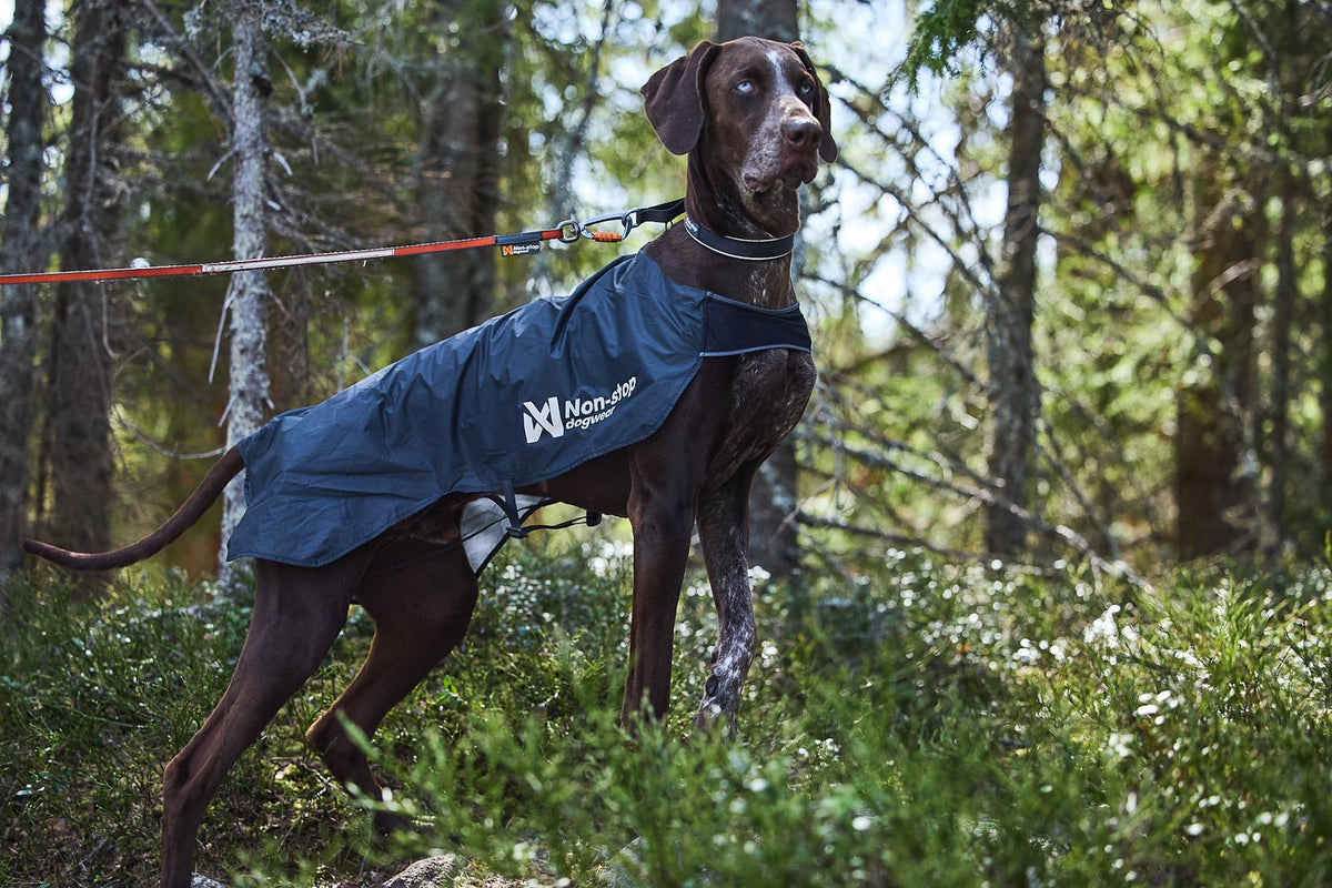 Trail light dog jacket product image