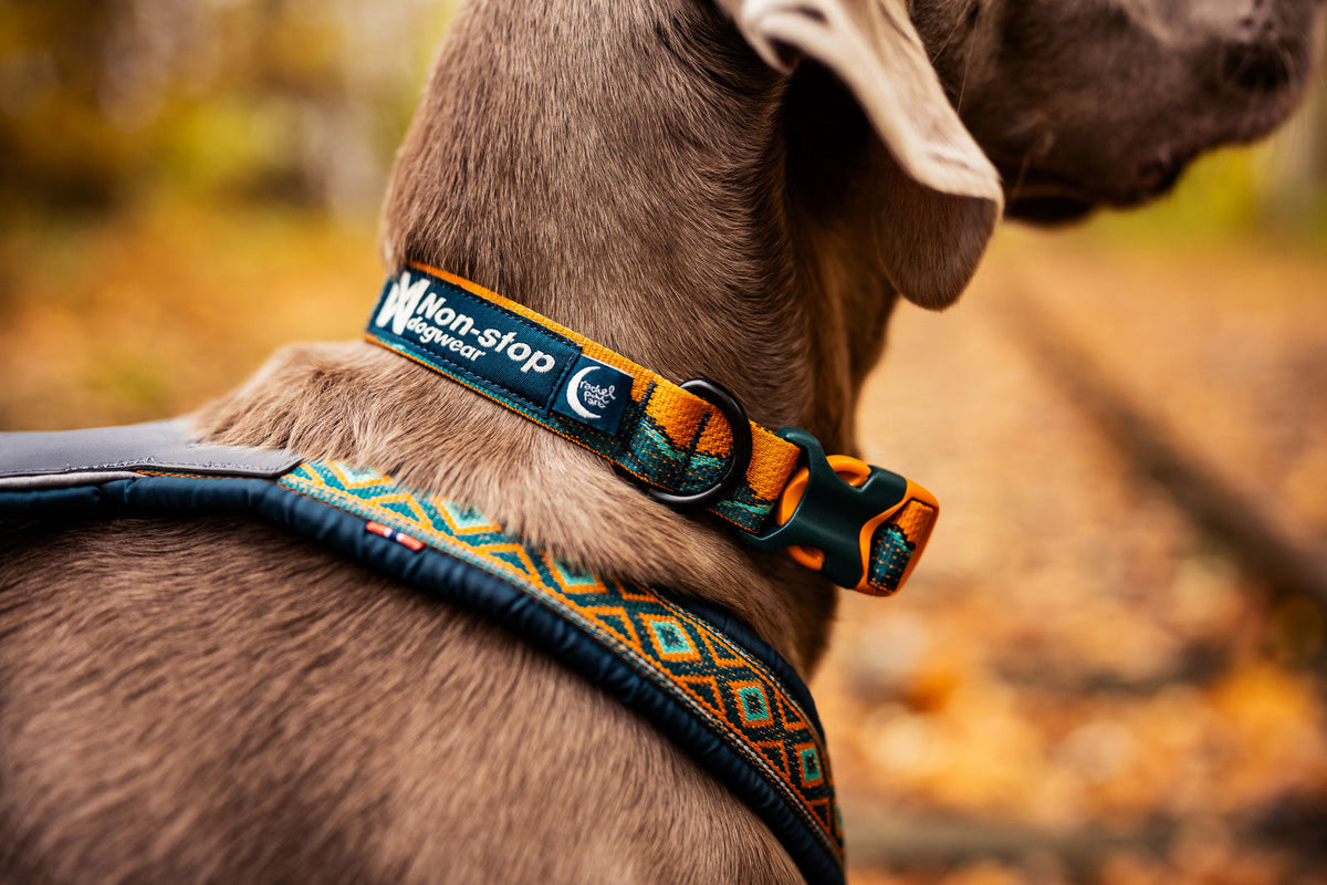 Trail quest collar Rachel Pohl edition product image