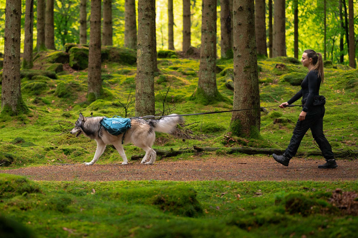 Trail quest dog backpack product image