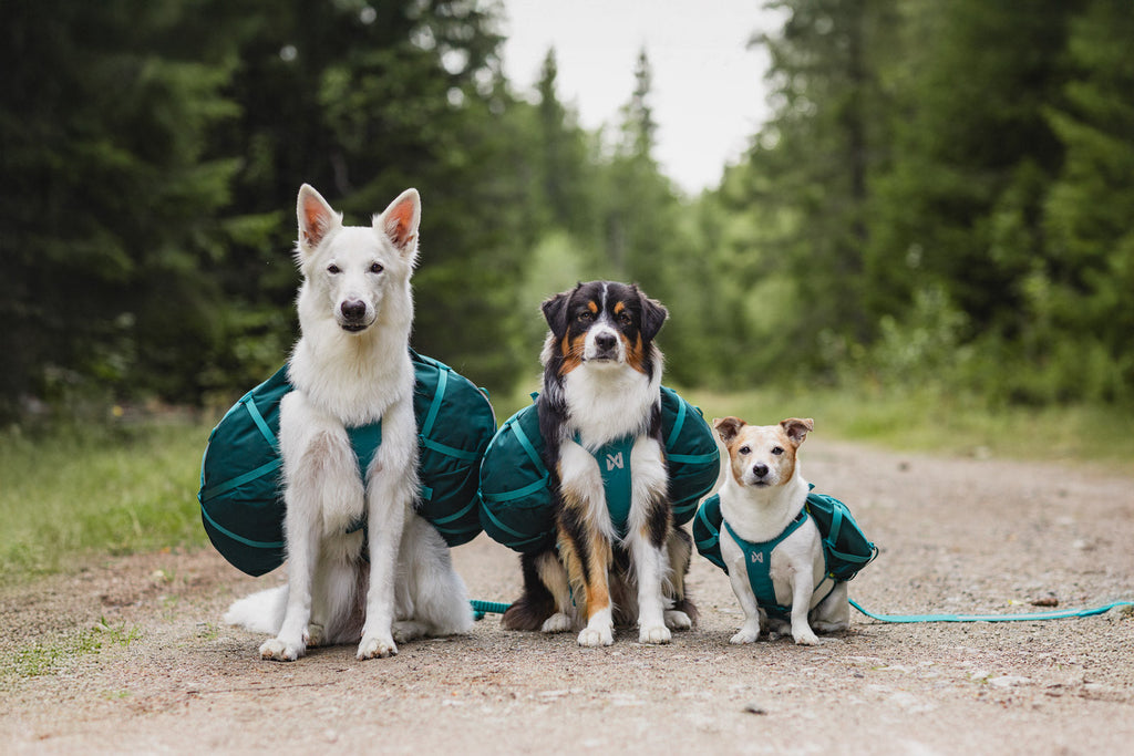 Trail quest dog backpack product image