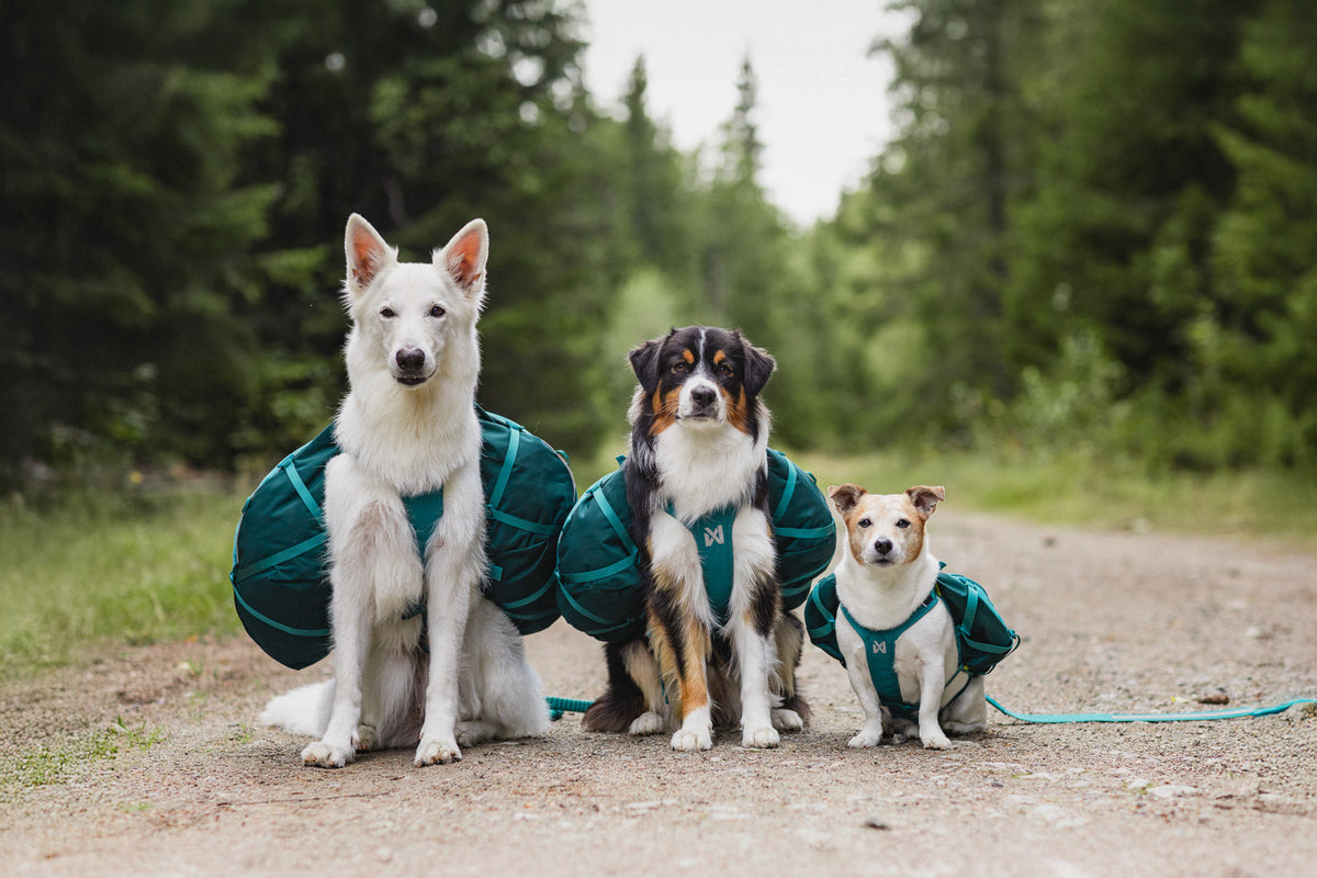 Trail quest dog backpack product image