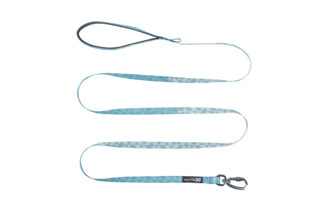 Trail quest leash product image