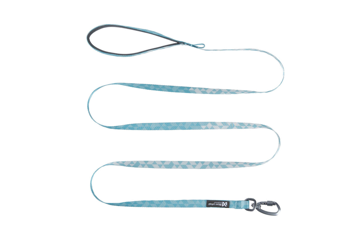 Trail quest leash product image