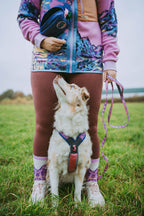 Trail quest leash Rachel Pohl edition product image