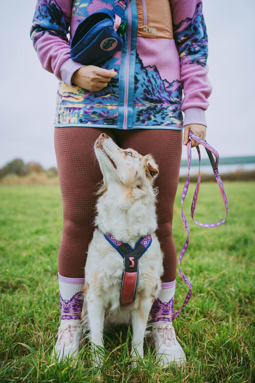 Trail quest leash Rachel Pohl edition product image