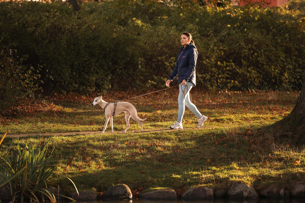 Trail quest leash Rachel Pohl edition product image
