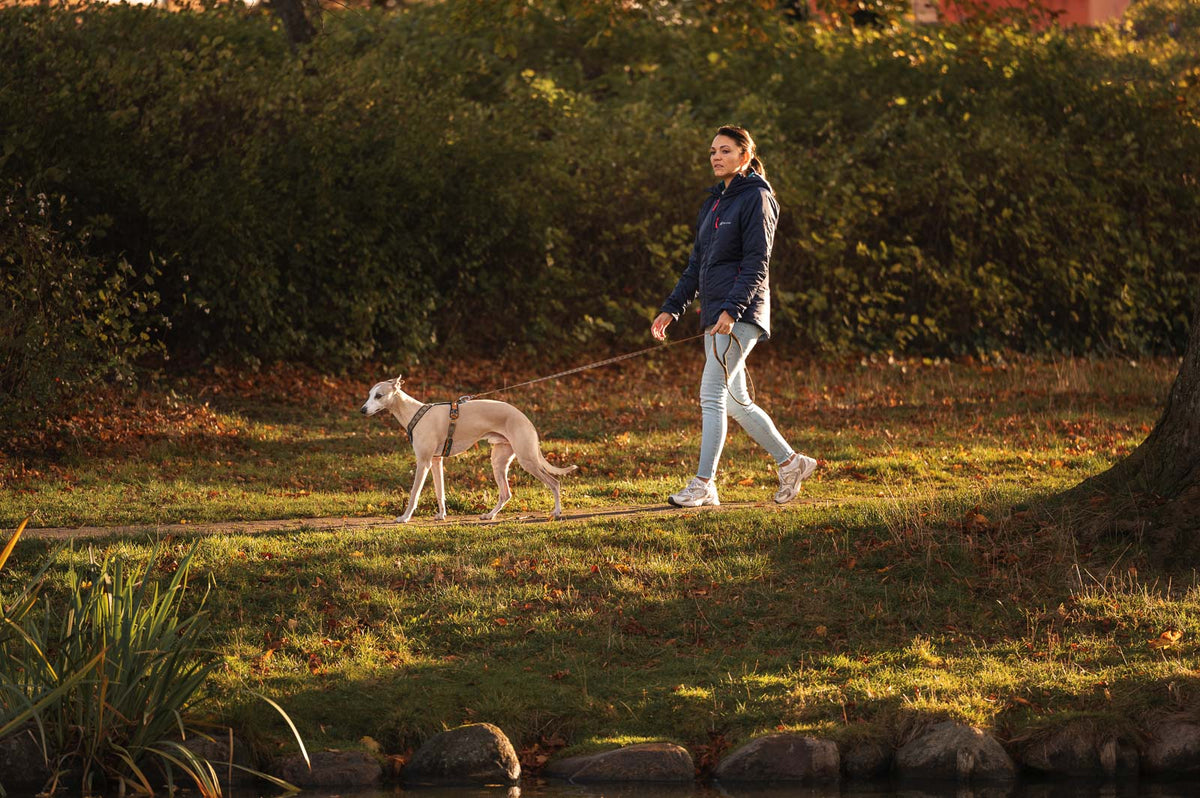 Trail quest leash Rachel Pohl edition product image