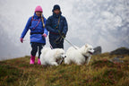 Trail quest leash Rachel Pohl edition product image