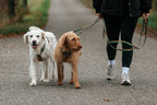 Trail quest leash Rachel Pohl edition product image