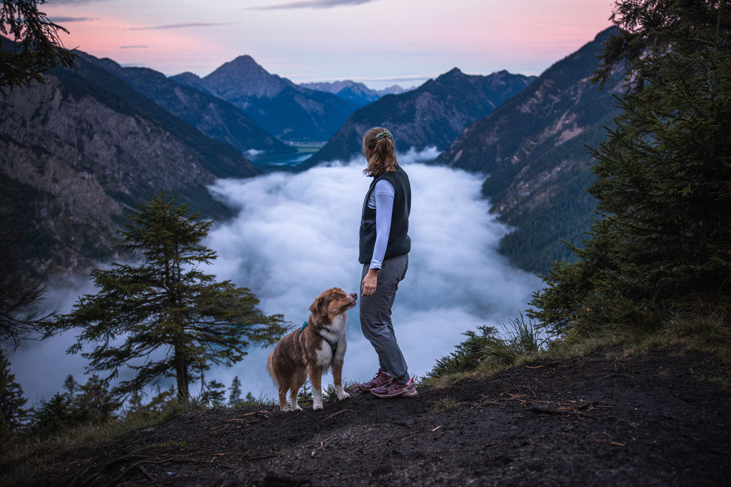 Trail quest pants W product image