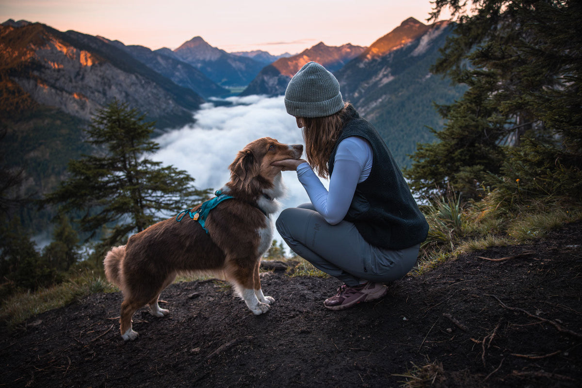 Trail quest pants W product image