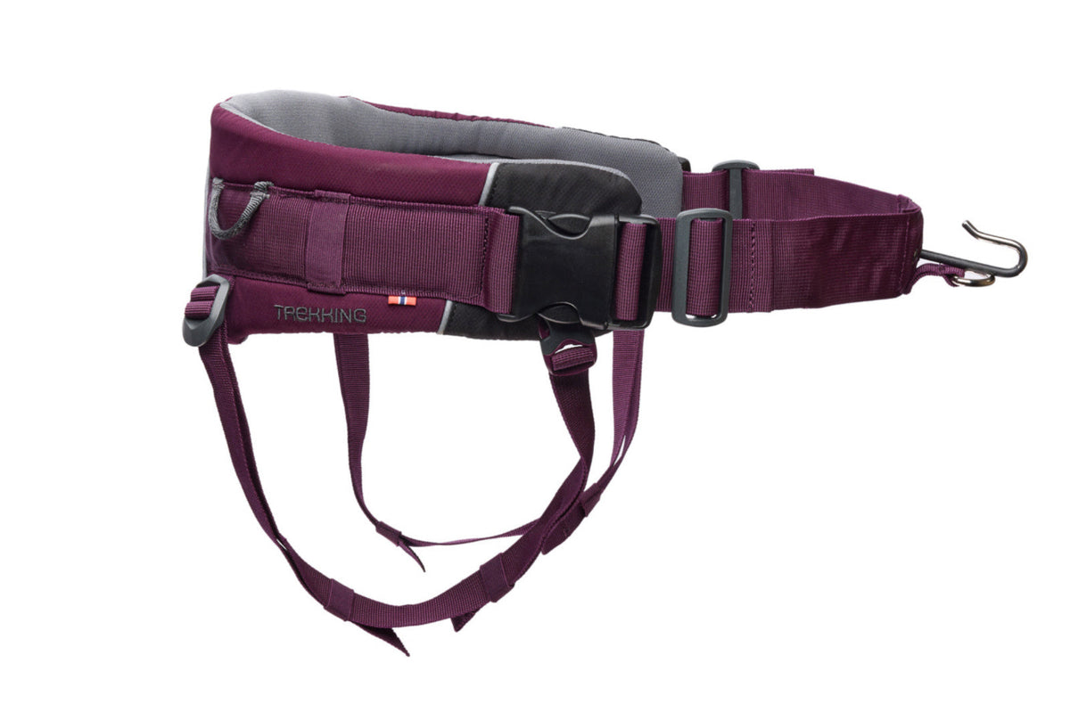 Trekking belt 2.0 product image