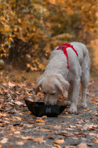 Trekking bowl product image