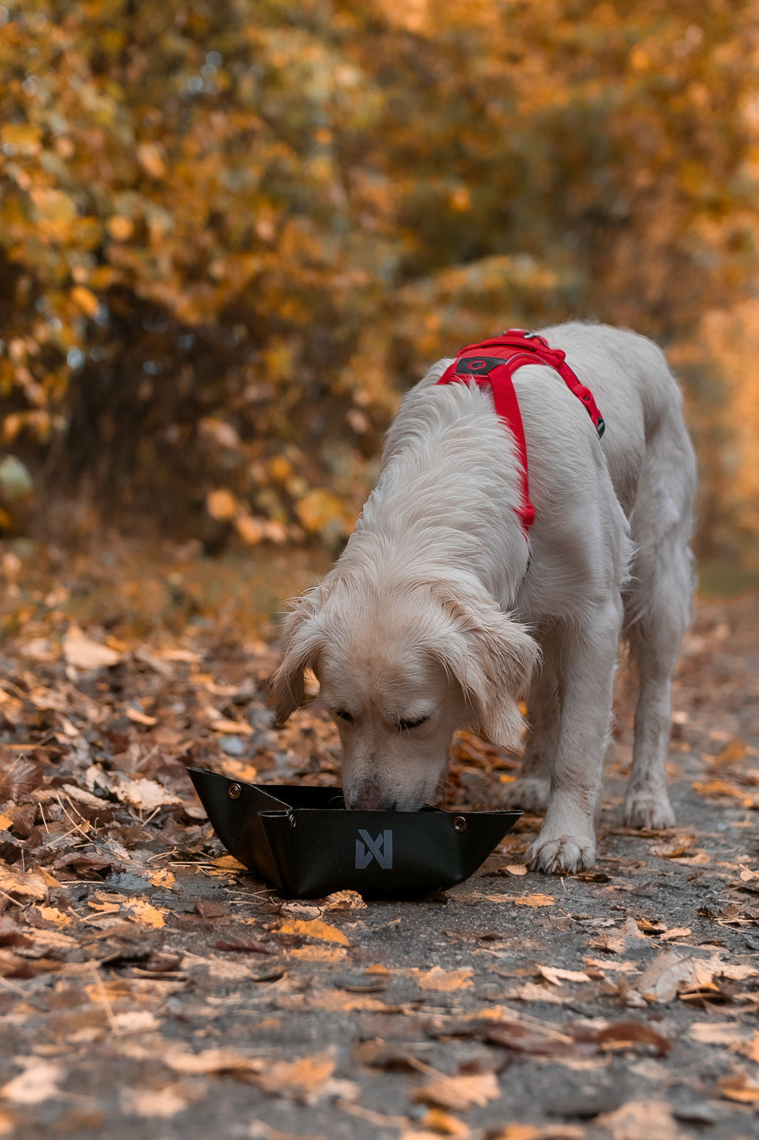 Trekking bowl product image