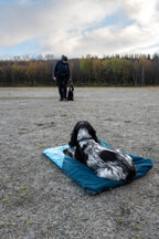Trekking dog bed product image