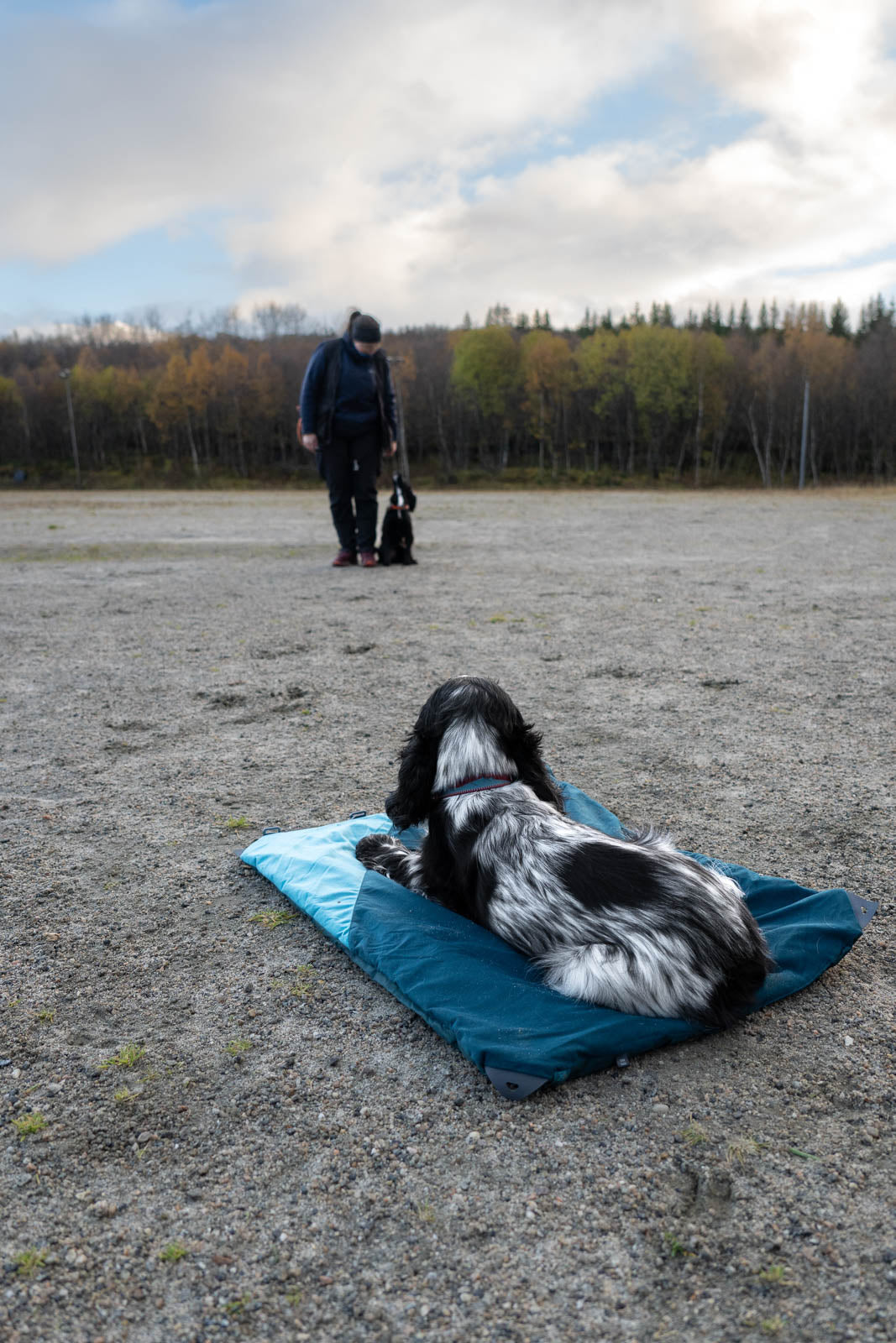 Trekking dog bed product image
