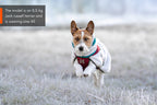 Trekking fleece dog jacket product image