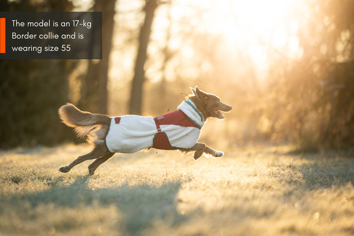 Trekking fleece dog jacket product image