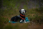 Trekking fleece dog jacket product image