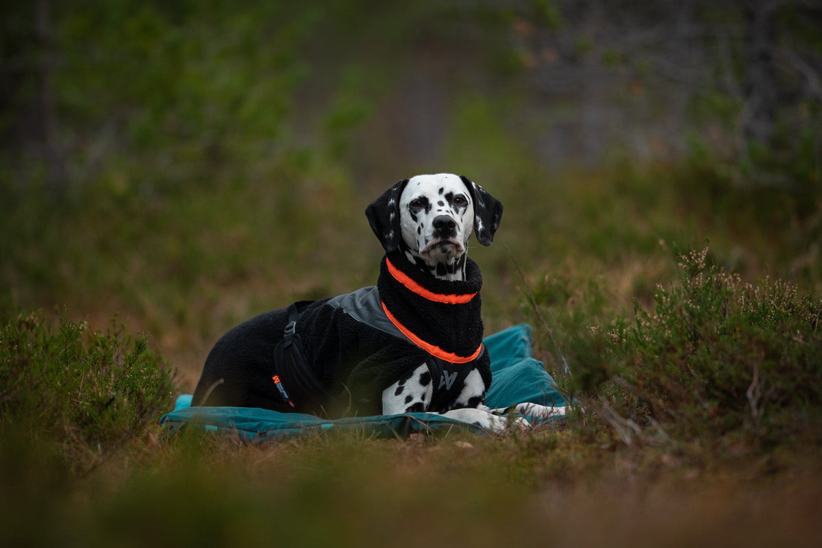 Trekking fleece dog jacket product image