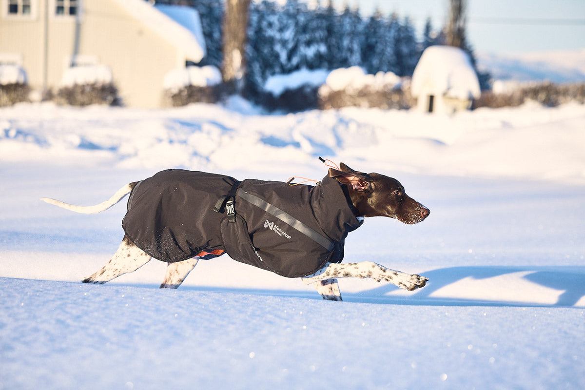 Trekking insulated dog jacket product image