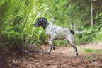 Tumble collar product image