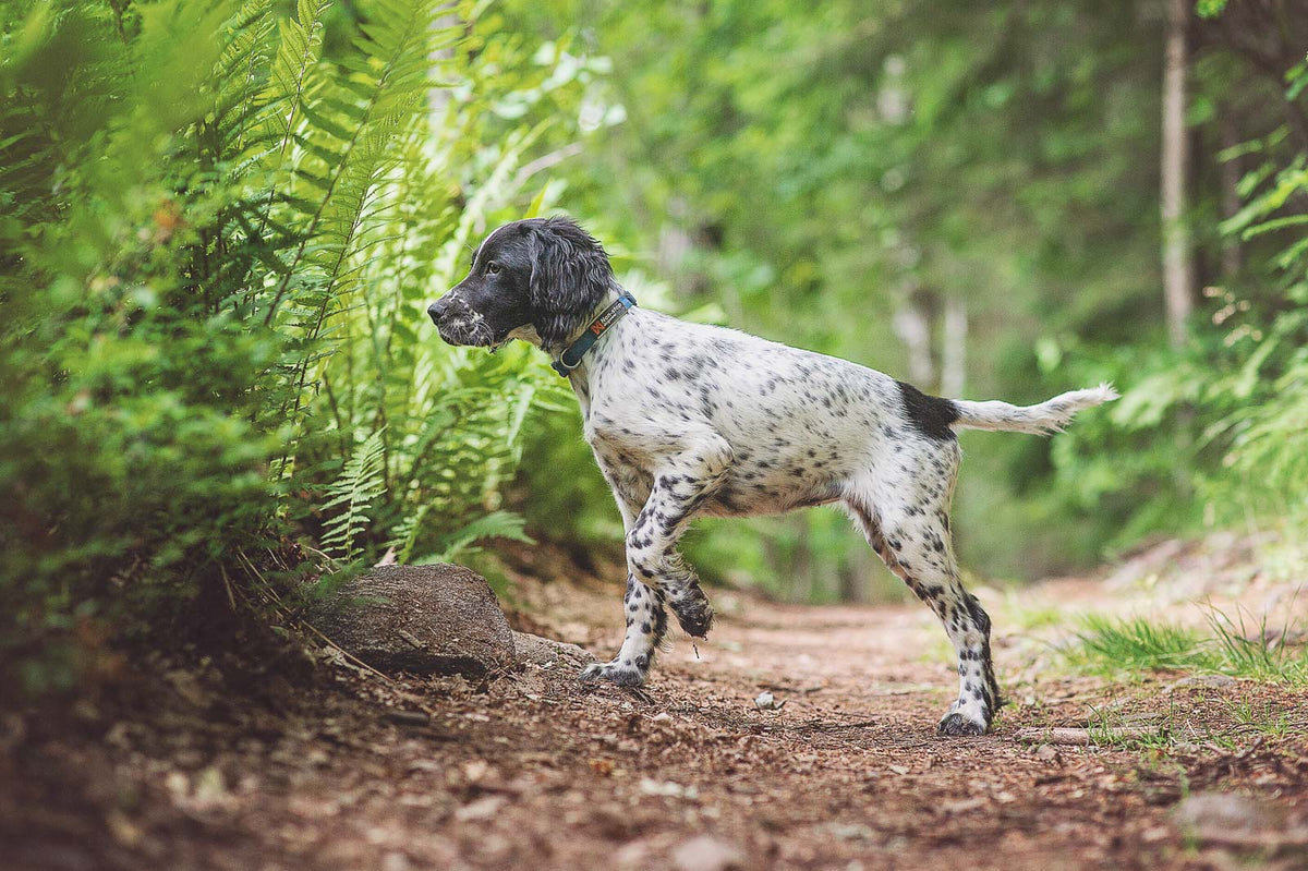 Tumble collar product image