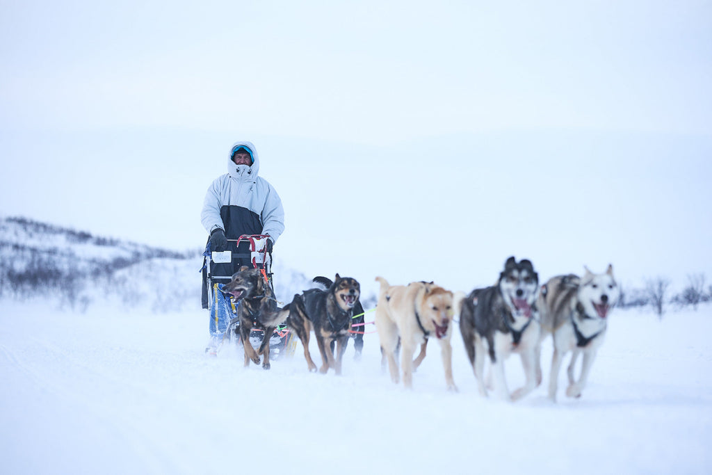 Tundra anojakka 2.0 product image