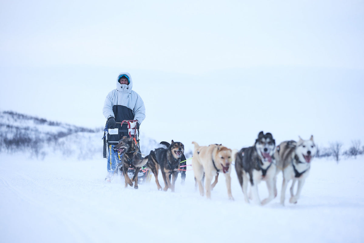 Tundra anojakka 2.0 product image