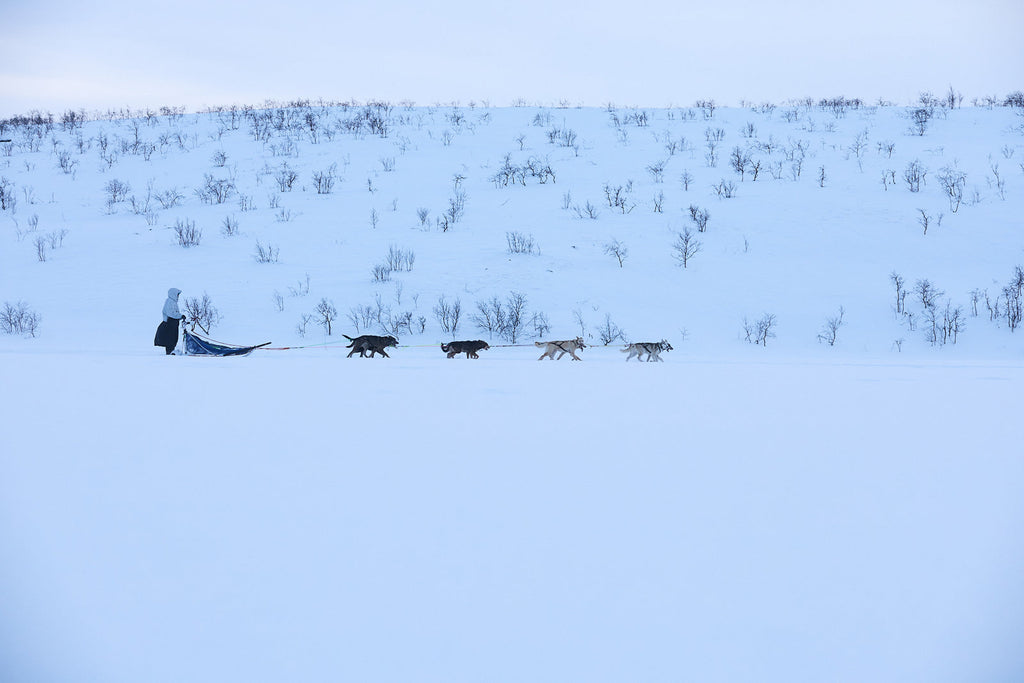 Tundra anojakka 2.0 product image