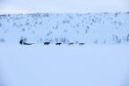 Tundra anojakka 2.0 product image