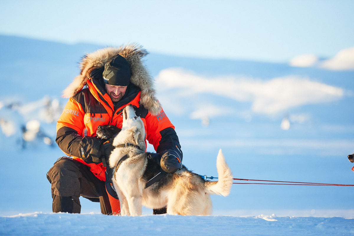 Arctic votta product image