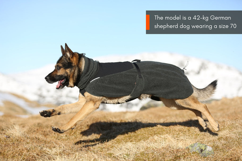 Wool dog jacket product image